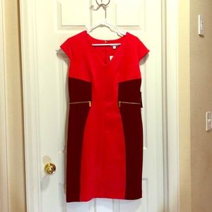 Color  Block Sheath Dress